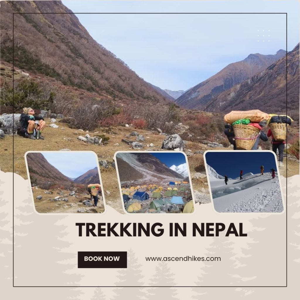 Best Trekking Company in Nepal